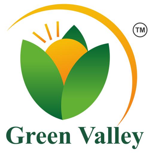 Поставь green. Зеленая Долина логотип. Green Valley International logo. Литтлван Грин Вэлли.