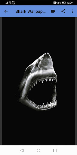 Black Shark 3d Wallpaper Image Num 88