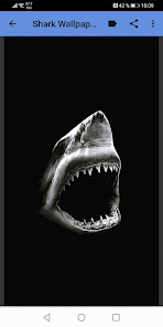 Imágen 9 Shark Wallpapers android