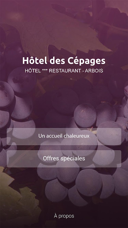 Hôtel des Cépages - 1.0.1 - (Android)