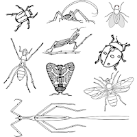 Семейства насекомых