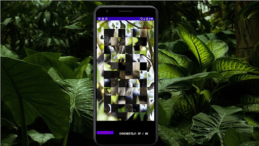 Puzzle beautiful cute Animals Screen 3