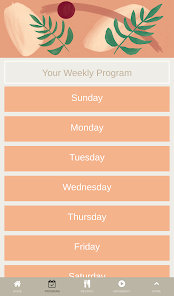 Screenshot image