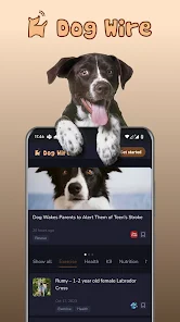 Dogwire clearance