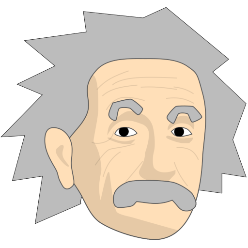 Daily Einsteins Riddle logo