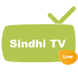 Sindhi TV Live icon