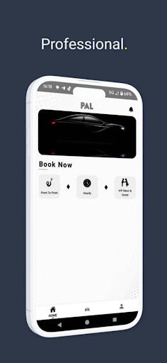 PAL Customer Screen 2