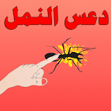 دعس النمل الأسود icon