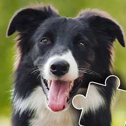 Значок приложения "Dogs & Cats Puzzles for kids"