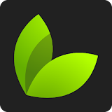 خواص گیاهان دارویی - خواص مواد غذایی -غذاهای رژیمی icon