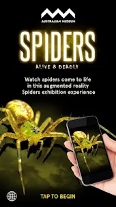 Spiders Augmented Reality