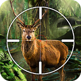 Deer, Bear, Tiger Hunting 2016 icon