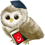 Cover Image of 下载 Learn Turkish  APK