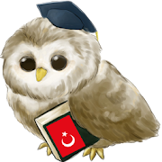 Top 20 Education Apps Like Learn Turkish - Best Alternatives