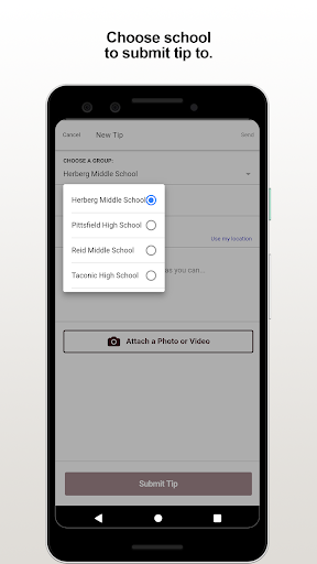 Pittsfield Schools Tip Screen 3