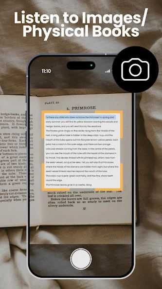 NaturalReader - Text to Speech Frame Grabs 16