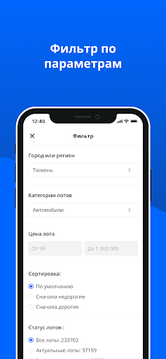 БАИДС Screen 3