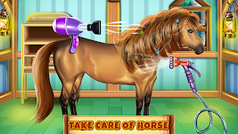 screenshot of Horse Hair Salon