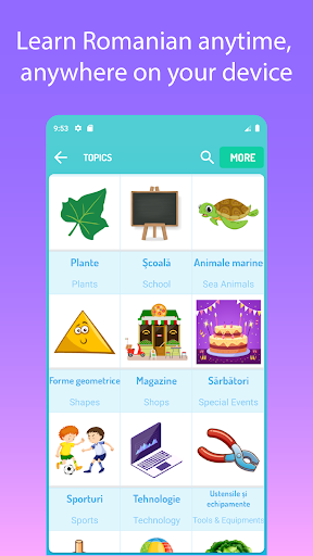 Android application Learn Romanian For Beginners screenshort