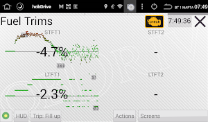 HobDrive OBD2 ELM327, car diagnostics, trip comp screenshot 10