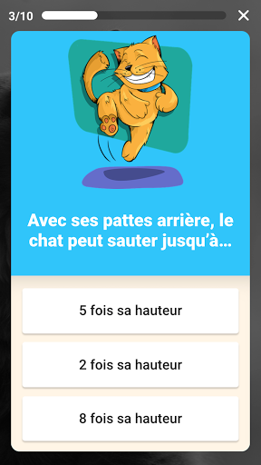 Android application Speez - Les chats screenshort