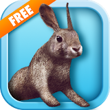 Bunny Simulator Free icon