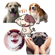 Dogs stickers WAStickerApps
