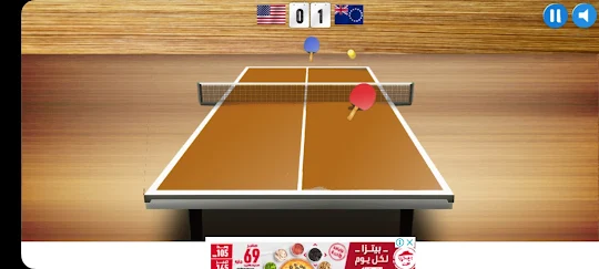 Ping Pong (Table Tennis)