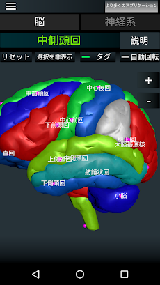 脳と神経系のおすすめ画像3