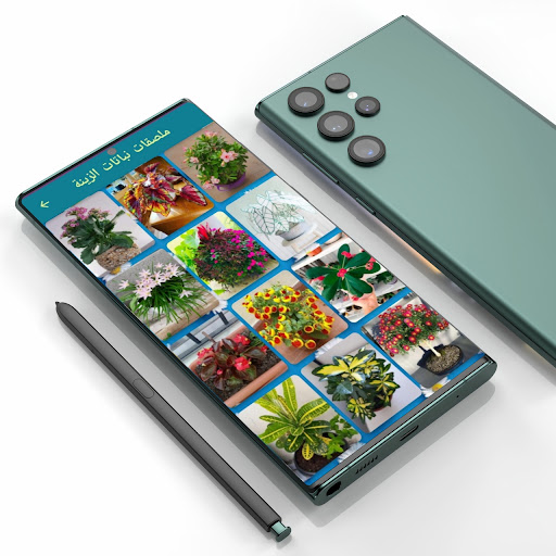 نباتات الزينة