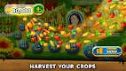 screenshot of Solitaire Grand Harvest