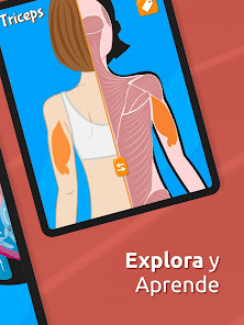 Screenshot 13 Atlas Anatomía: Cuerpo Humano android