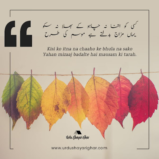 Dard Bhari Udaas Shayari