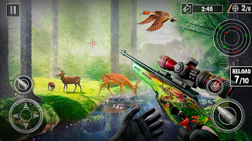 Wild Deer Hunt Deer Hunting