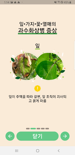 과수 화상병 전문가 상담 Screen 2