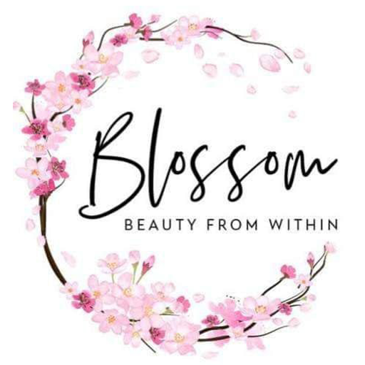 Blossom Store  Icon