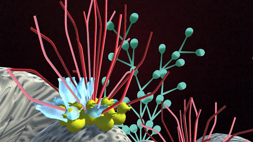Unexpected Growth Screen 3