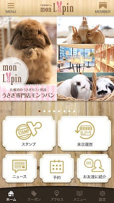 うさちゃんと触れ合えるカフェ「うさぎ専門店モンラパン」のおすすめ画像2