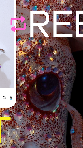 Tumblr—Fandom, Art, Chaos - Social - apps