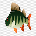 Cover Image of Скачать What a Fish  APK
