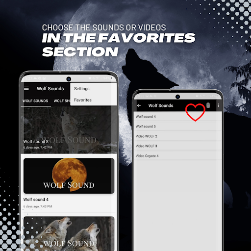 Screenshot of Wolf Sounds-videos-wallpaper