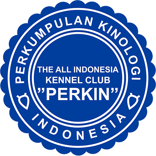 My PERKIN logo