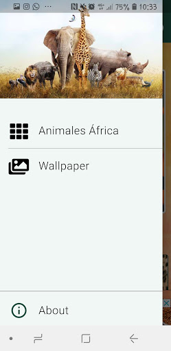 Animales de África Fondo de Pantalla, Wallpaper HD