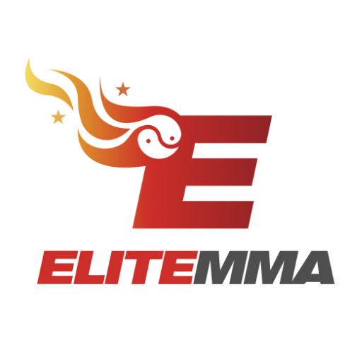 Elite MMA TX logo