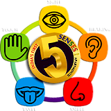 Learn The 5 Senses | Video icon