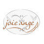 トータルビューティーサロン joieange（ジョアアンジェ APK icon