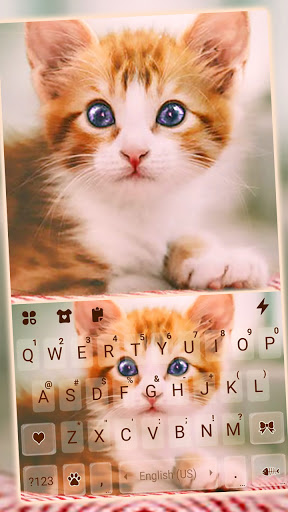 Android application Ginger Kitten Keyboard Backgro screenshort