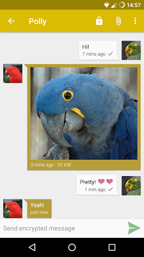 Android application Snikket screenshort