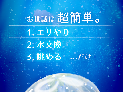 √99以上 クラゲ えさ 108657-クラゲ 餌 頻度