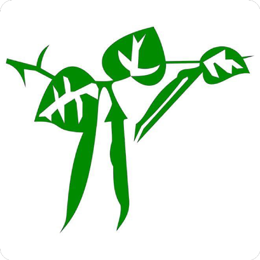 Feijão De Corda logo
